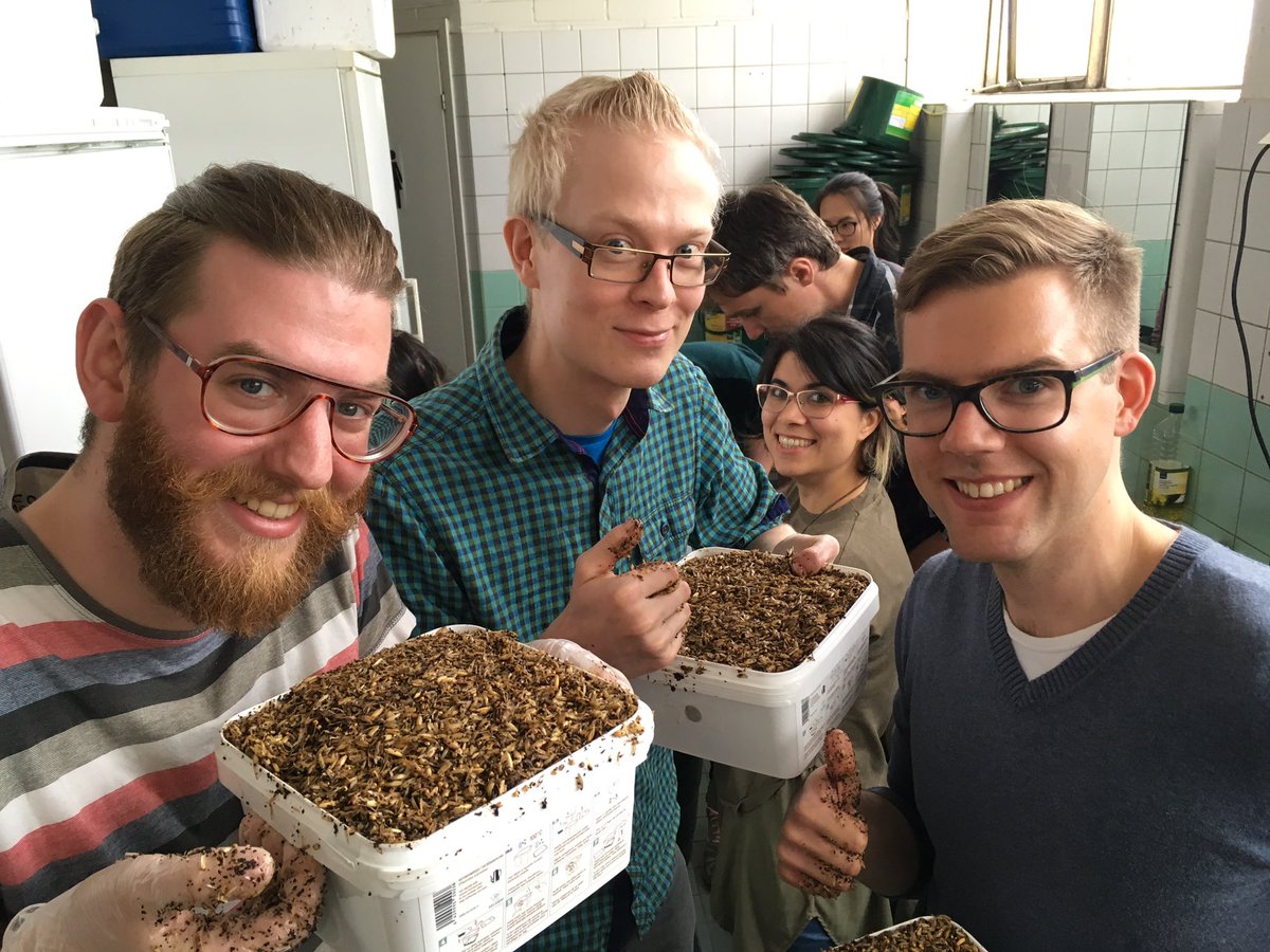 LauriReuter's tweet photo. #VTTYP making our own #mushroom growkits! WOoP! #Helsieni #VTTPeople https://t.co/F5jXepj8ep