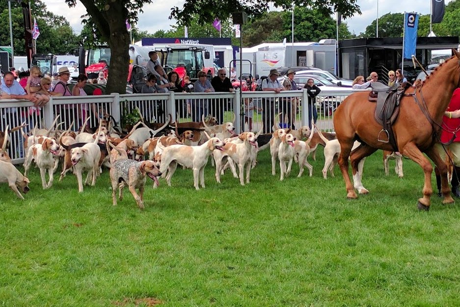 Staffs Showground tweet media