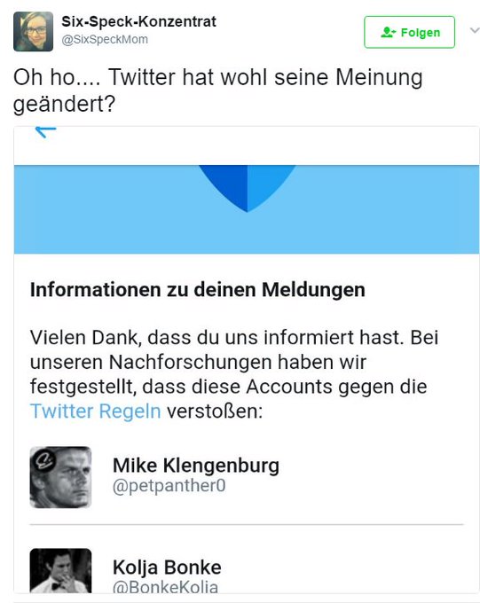 Bild auf Twitter anzeigen