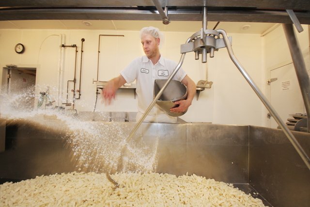 Squeaky Cheese Curds: The Science Behind Wisconsin's Favorite Snack #wisconsin #cheese &gt;&gt; ow.ly/i1nW30ccbL7