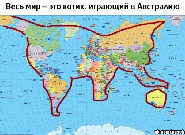 Соня Джаватова (@zonyadwatova) on Twitter photo 