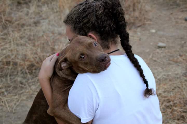 Nos unimos a ésta campaña, por ellos, ellos nunca lo harían. #NoLoAbandones #ElNoLoHaria