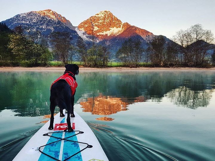 StandupJournal's tweet image. &quot;Another shot from our sunrise sup tour last week... Do you see the light fog over the water?&quot; 📷 @stanu_pics Red P… ift.tt/1Pjq6r1
