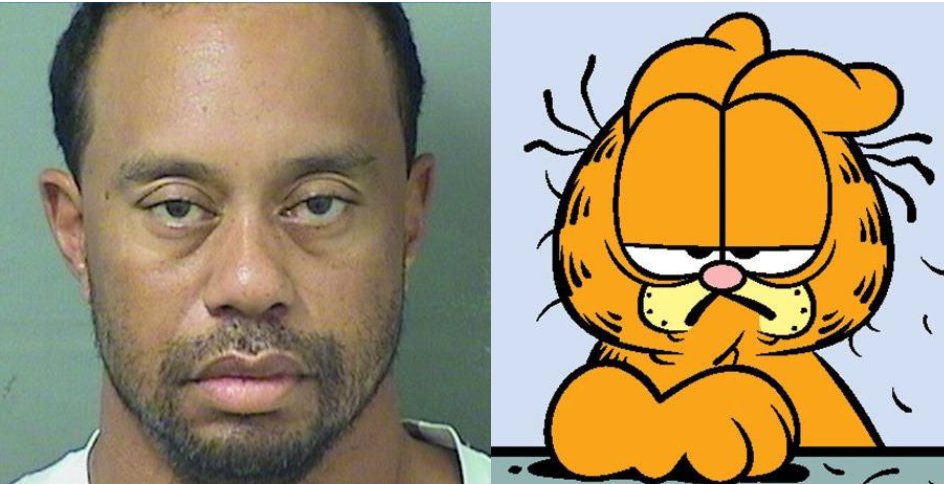 screwurlogo's tweet photo. Striking resemblance. #tigerwoods #garfield😆 https://t.co/NnkuaRQI3c