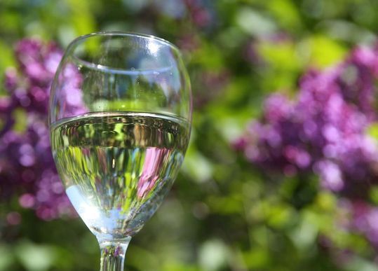 kmeyersemery's tweet photo. .@dandc's #FLXWine to try this summer https://t.co/VMTPY1hYsY Incl. @RTRwines @SSVNY @casalargawinery @KeukaSpring @AnthonyRoadWine &amp; more! https://t.co/tCK0wYX0Mm