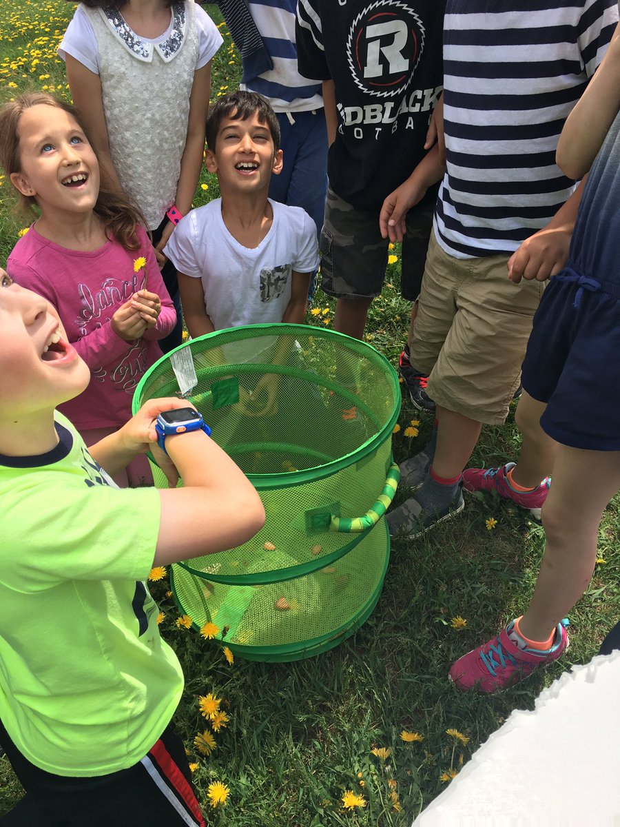 Grade2STM tweet media