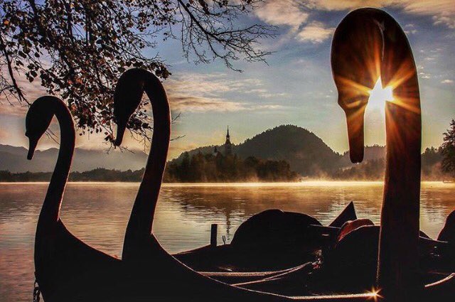 igslovenia's tweet photo. A weekly dose of Bled by /julesr03/. Really creative one though. #slovenia #igslovenia https://t.co/OoAzIyqwx8