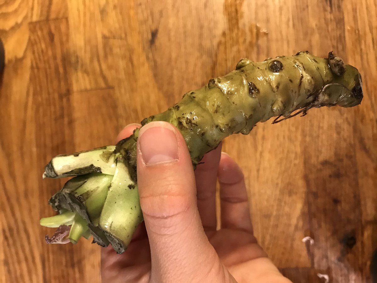 elinkudo's tweet photo. Any recomendations of recipes with  #wasabi except sushi and zaru soba? Got this lovely piece from @perkudo https://t.co/gPLawbxxZv