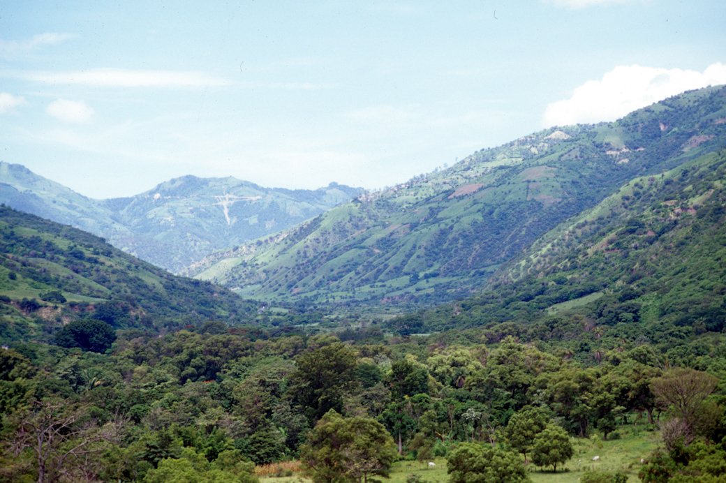 MiMuseoIndigena's tweet photo. #Cosmovisión En rituales #Cuicatecos se venera al Señor del Cerro, al dios de la tierra y a los espíritus de las fuerzas naturales.
#Oaxaca https://t.co/KvOgfq0ei1