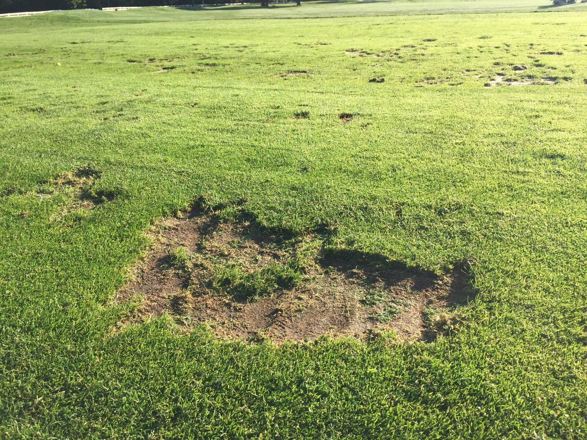 HOAgolfSuper's tweet photo. Apparently one of your 14 clubs can be a shovel... #drivingrange #crater https://t.co/4hvNh9s0qk