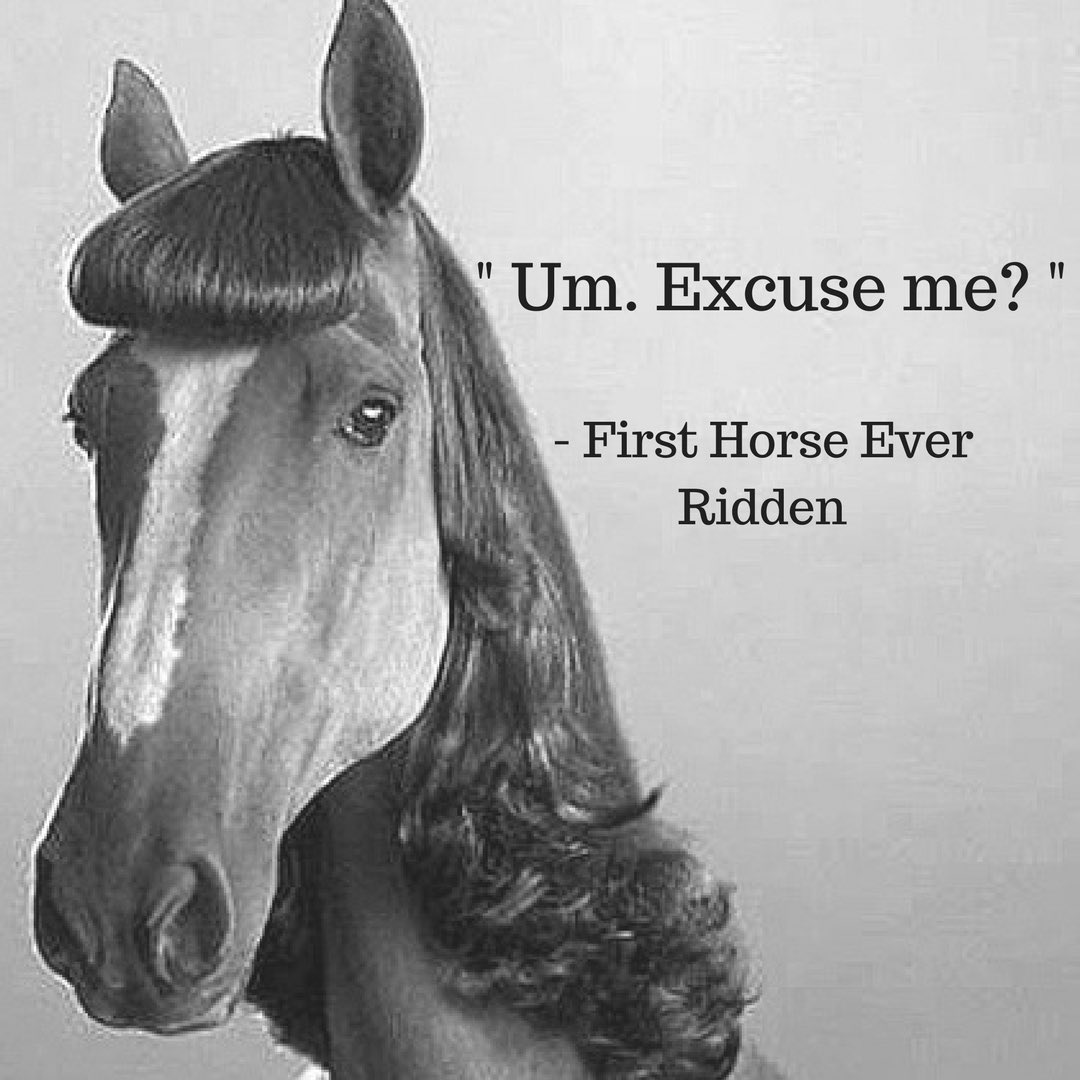 TheFalseQuote's tweet photo. Do you mind not sitting on me? #horse #quotes #quoteoftheday #like https://t.co/StZx1XnjSu