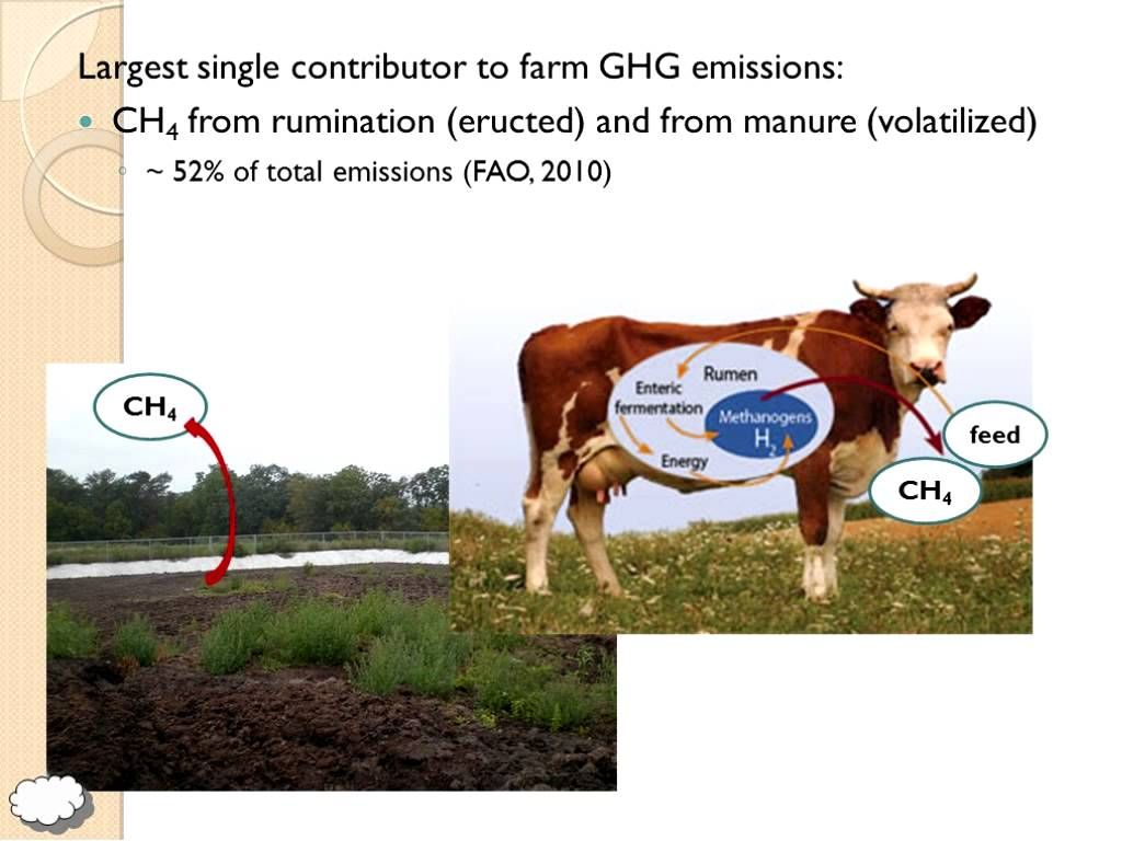 AgEnergy's tweet image. Do you know your ABC’s of Life Cycle Analysis for Dairy Production? Learn more in this great webinar: buff.ly/2rlg7vh
