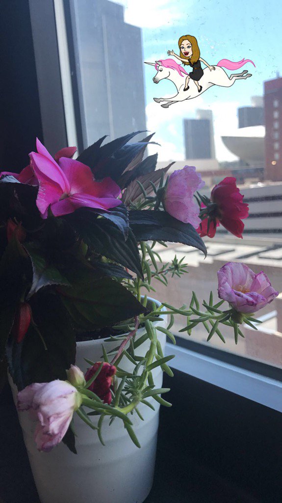 AmandaSavarese's tweet photo. Thanks to the lovely farmers market at the plaza today... 💁🏼🦄 #Albany #lovelocal #fresh #fabulous #farmersmarket 💜 https://t.co/LoTzV2dlSm