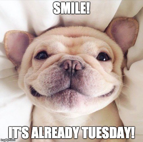 ChefShuttleCAr's tweet image. Happy Tuesday! Let Chef Shuttle put a smile on your face with yummy food for your tummy! Order at chefshuttle.com!
