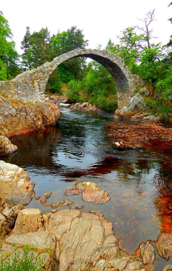 SallieTraveling's tweet photo. Carrbridge, Cairngorms, Scottish Highlands, Scotland https://t.co/sC47s4yMu5