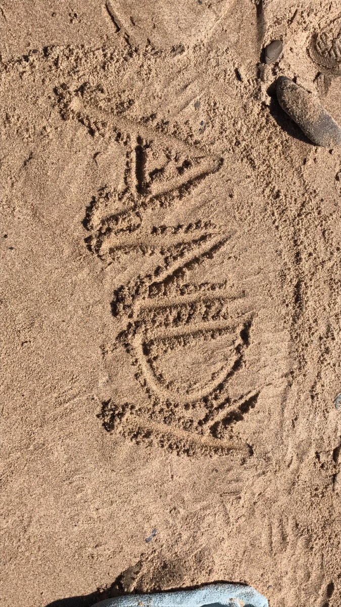 FowlersQueen1's tweet photo. #sandyAndy @RoadTripTV this is how fun our beach trips are😂❤️ https://t.co/QSClwJJtJh