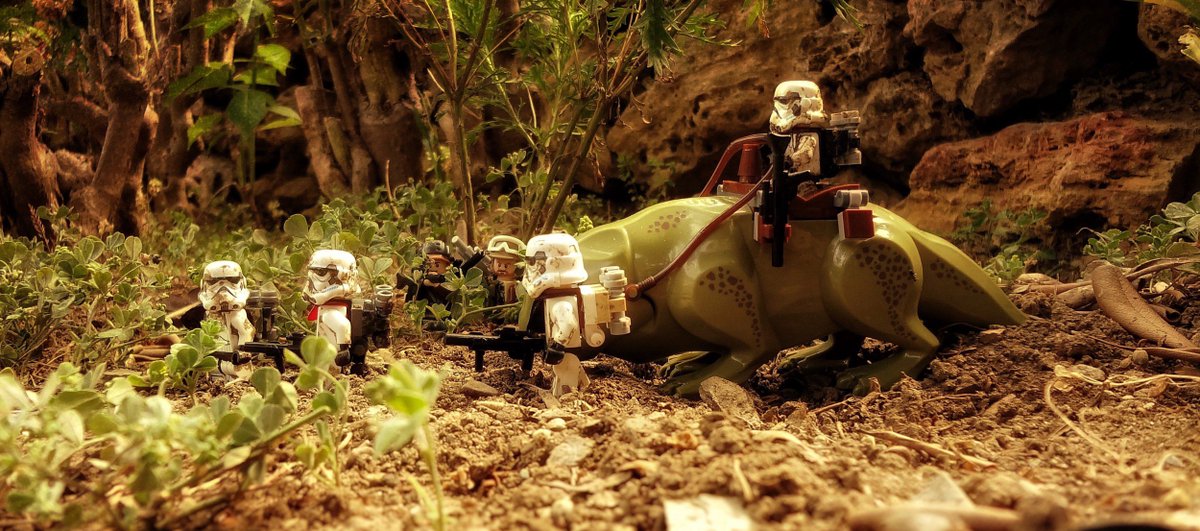 carlossisi's tweet photo. Hoy en fotos de juguetes... :) @StarWarsSpain @LEGO_Group https://t.co/RCexOlo5Sy