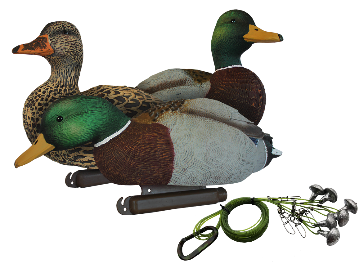 ReconRig's tweet photo. We are honored to partner with White Rock Decoys with our TOUGH SERIES anchors for their new Pre-Rigged Decoy set.
https://t.co/QNbW4NO99J https://t.co/rCTHuyqDUC