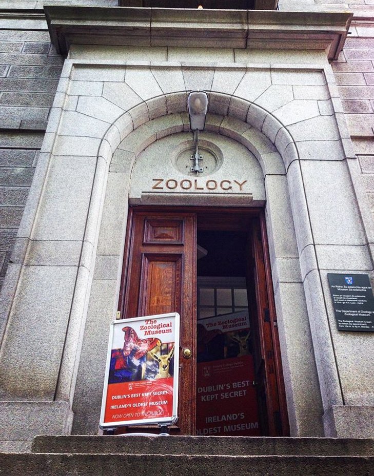 TCD Zoology Museum tweet media
