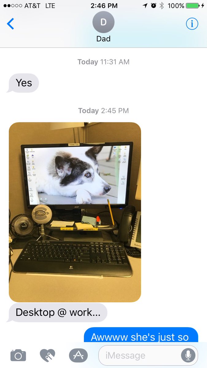 Squigglerly's tweet photo. When your dad's desktop at work shows the totem pole that is your family https://t.co/Xq8AtIYnNm