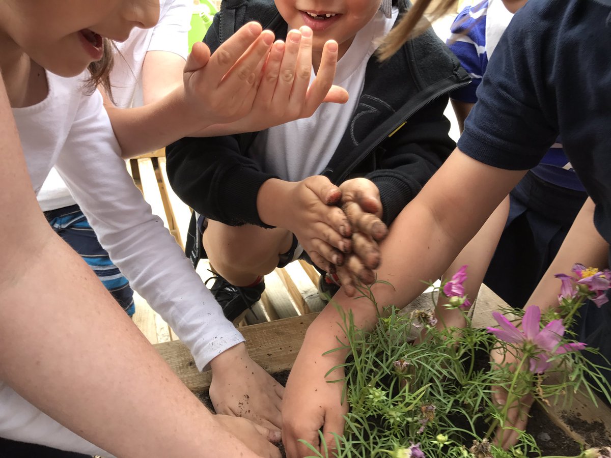 Mrs.H.&Mrs.D. tweet media