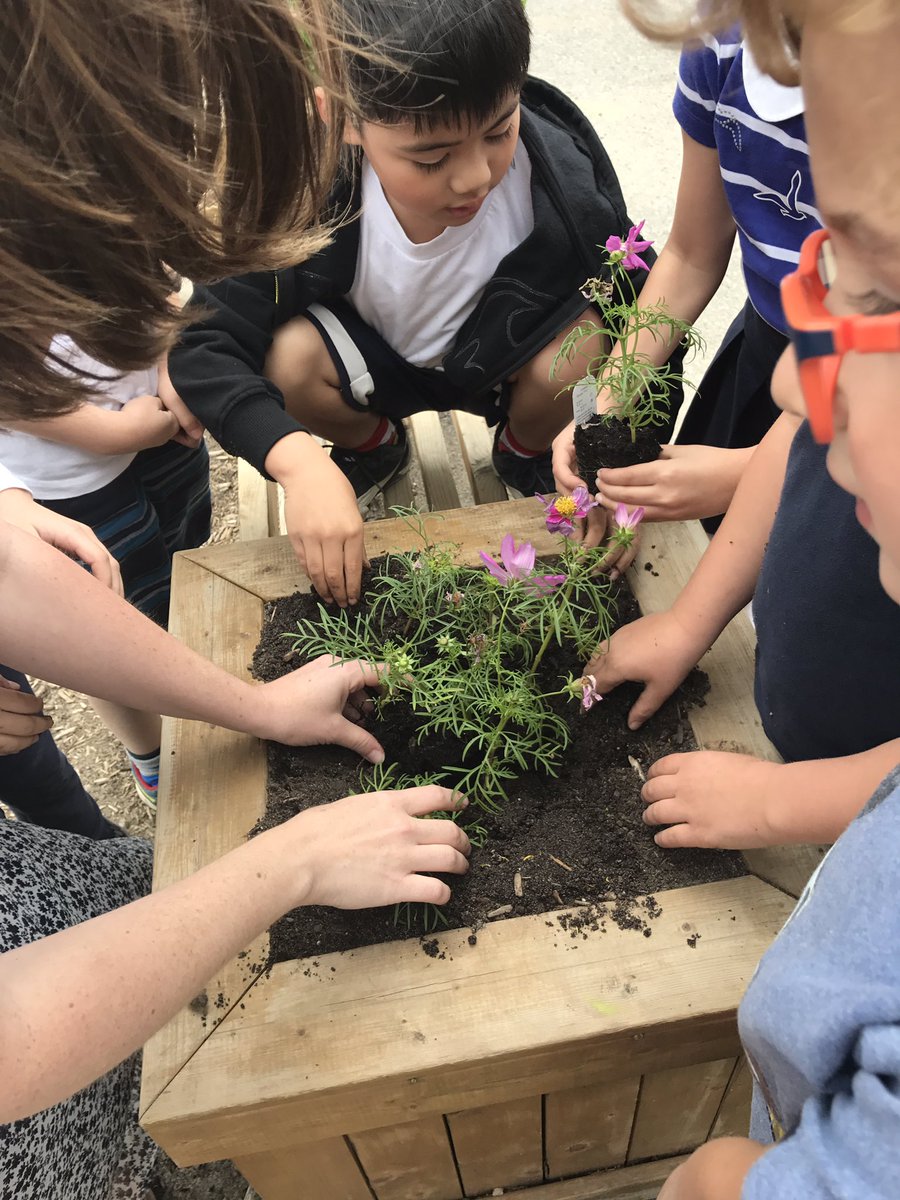 Mrs.H.&Mrs.D. tweet media