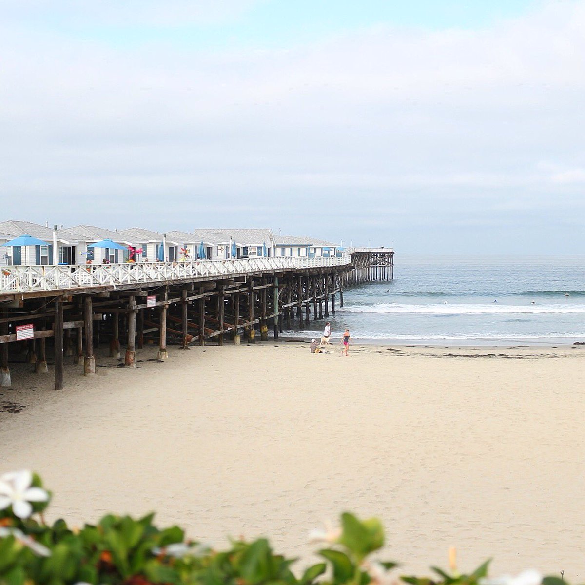 SurfMonkeyBikes's tweet image. June Gloom is in full effect... #BikeRentals #PB #BikeSD #SanDiego #SD #SanDiegoFun #PacificBeach  #ThatPBLyfe #PBSD #SurfMonkeyBikes