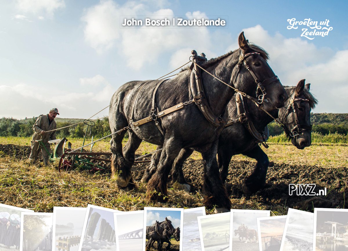 PIXZeeland's tweet photo. Nieuwe maand, nieuwe foto op de #PIXZ Zeeland Jaarkalender :)! #Geniet ervan! 

Juni: @bosch_john #Zoutelande 

#Juni #ZeelandApp https://t.co/aZ4wL07h7F