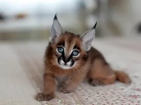 <a href="/babygry/">Friendship Day</a> 
Happy Birthday my dear friend!🌺💐🌸
Happiness, joy, love, blessings for you!💗🌹💗