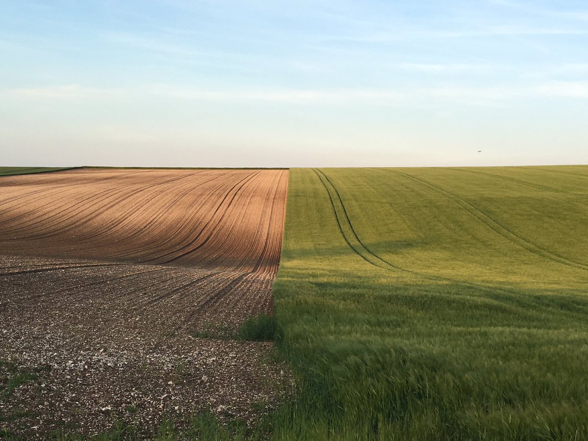 PhotoRichSmith's tweet photo. I love huge contrasts in landscapes and particularly agriculture. I'll be back with the camera for this one! #thwing #eastyorkshire https://t.co/3mh1fVt10f