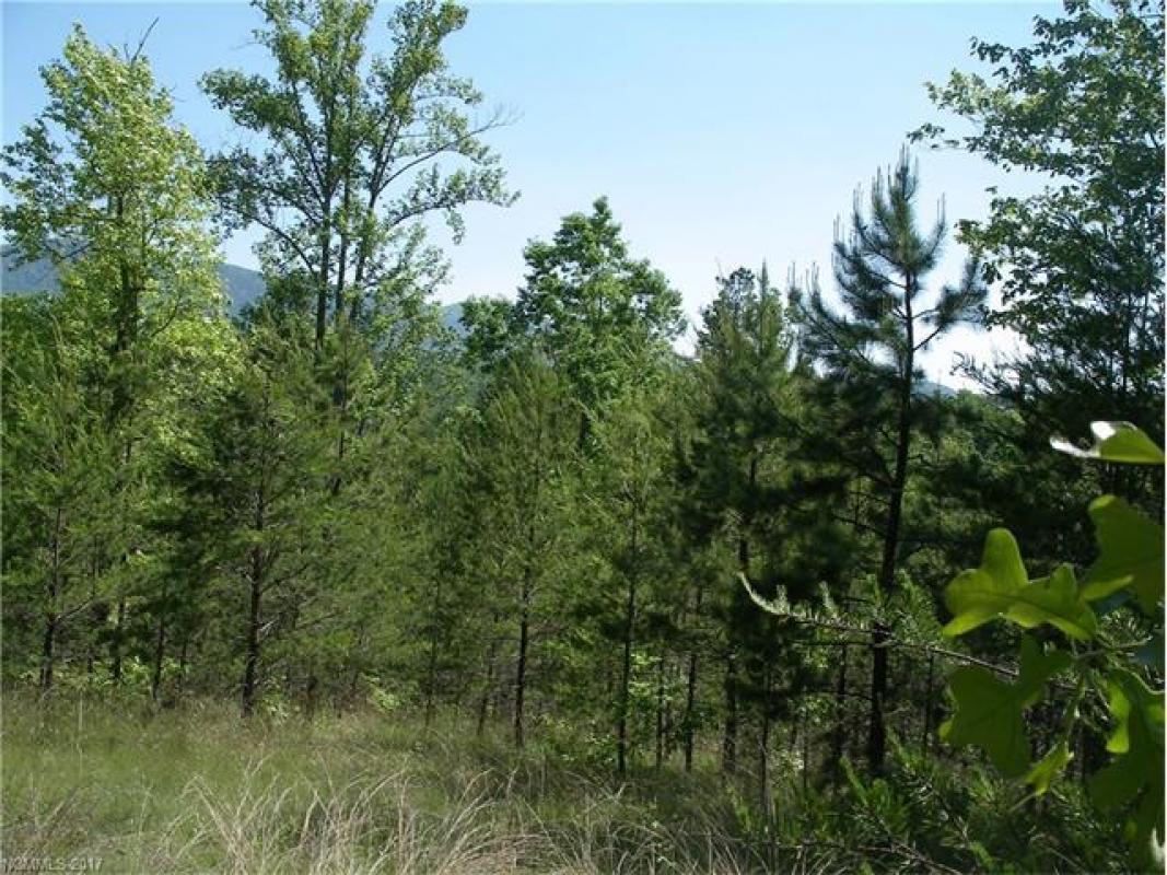 BHHS_LP's tweet photo. Just listed by Ellen Glass in #MillSpring #NC. Lot 3 Parkway North Road! Please retweet! https://t.co/JMJE8UIyd7 https://t.co/pC0q13LSrR