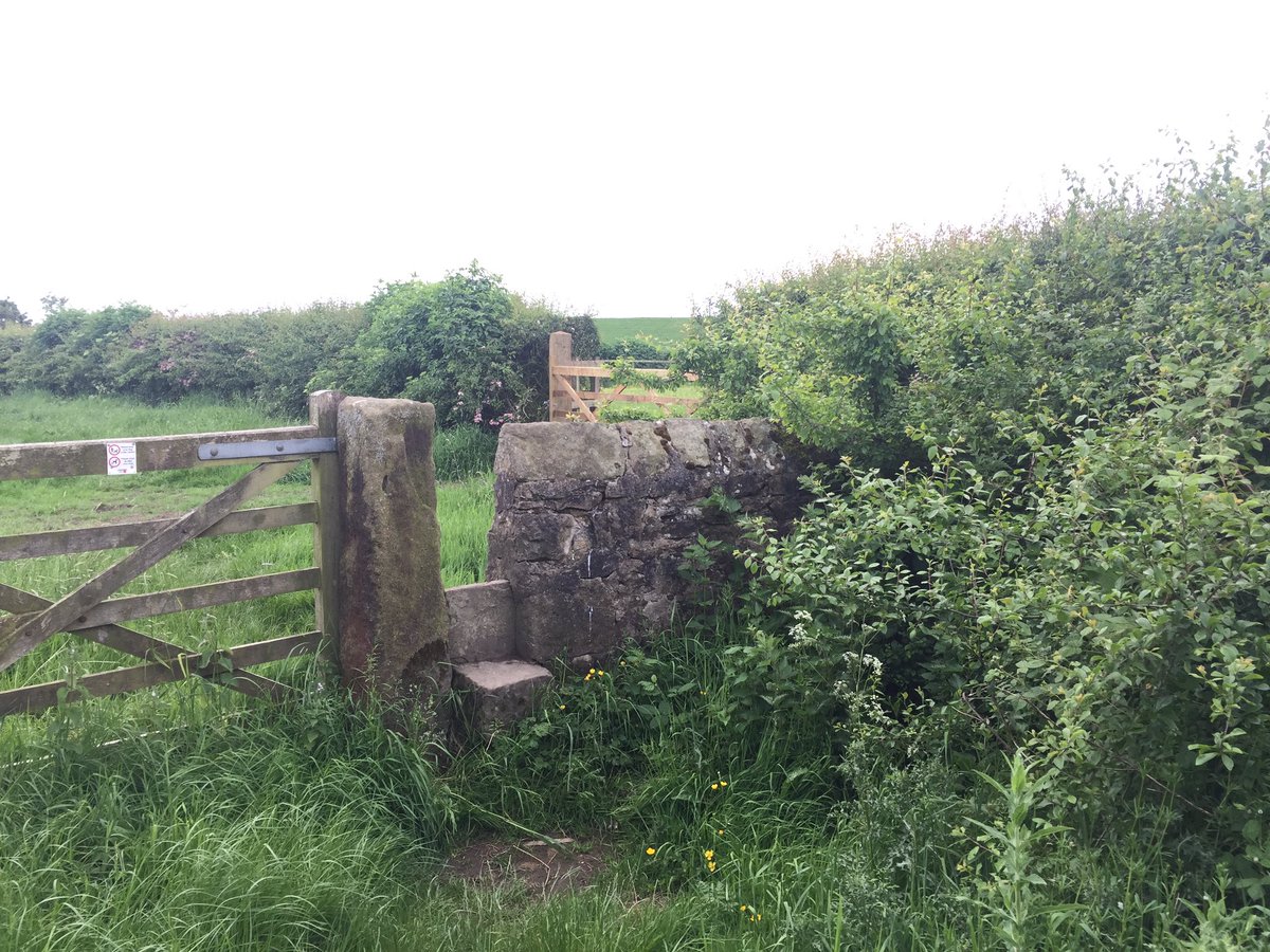 AlfrescoFamily's tweet photo. Went for a walk in #hothersall this evening. Sad to think it may be soon an industrial site if planning is accepted #resist @NIS4Hothersall https://t.co/mdAOnrgPrd