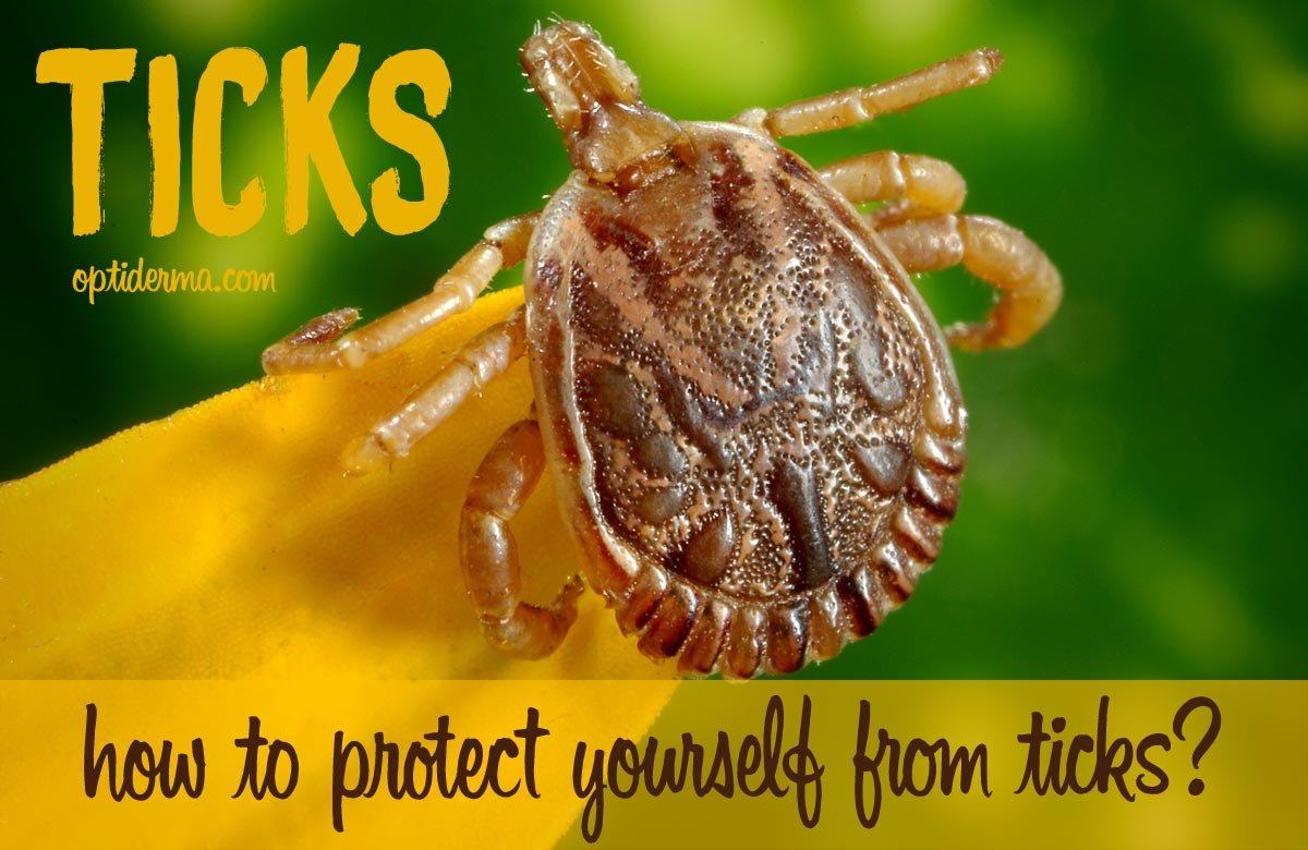 optiderma's tweet image. It's tick season! Make sure you protect yourself... sumo.ly/AKug via @optiderma #tick #health