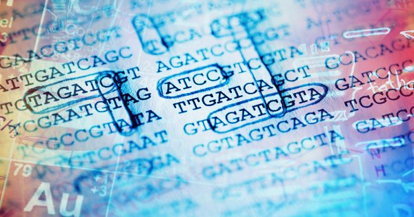 KentEckert's tweet photo. Tech Leaders Say You Could Be Storing Data in Your DNA in the Next 10 Years https://t.co/pfL6Vqat8B #Hard_Science #data #dna https://t.co/BCYyv09gZr