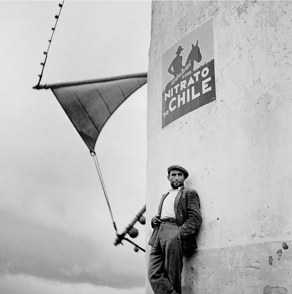 magamaudit's tweet image. Portogallo 1956
Ph. #BillPerlmutter