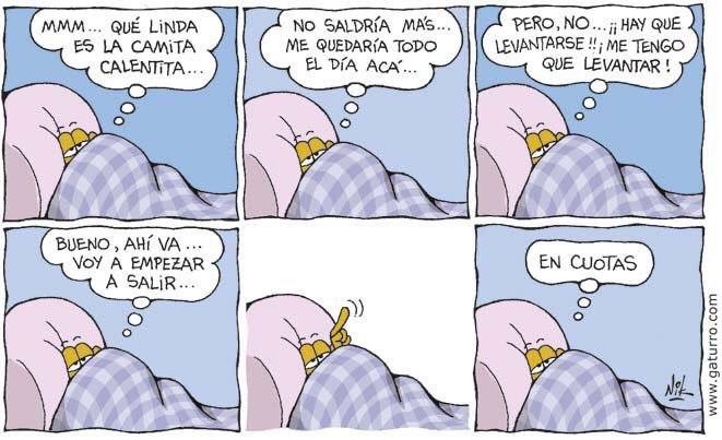 Nikgaturro's tweet photo. Yo, mañana a la mañana... https://t.co/KSlInK3TIY