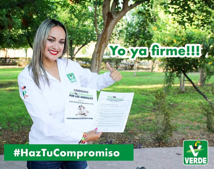 LezaClaudia's tweet photo. Yo ya firme él compromiso con mis amigos de @_AnimalHeroes_  apoyando estas grandes propuestas por él bienestar animal...!
#HazTuCompromiso https://t.co/BxDZZmU6B1
