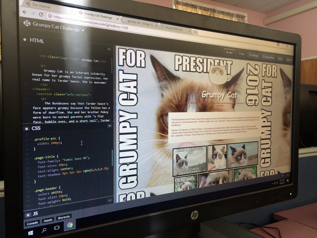 gatherworkshops's tweet photo. Grumpy Cat for president! Students at Waitara High School are learning HTML and CSS today ✌️ https://t.co/zEk8j7eI1Q