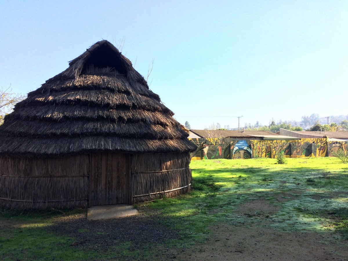 #rucalawen ubicada en peñablanca al costado del Hospital, atención de Machi y Lawentuchefe más info. Por interno ✌🏼🌿