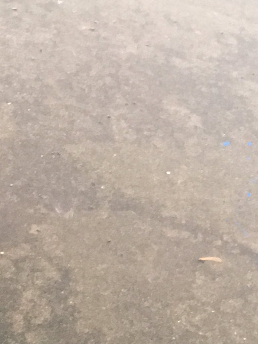 Pea size hail in South Deerfield