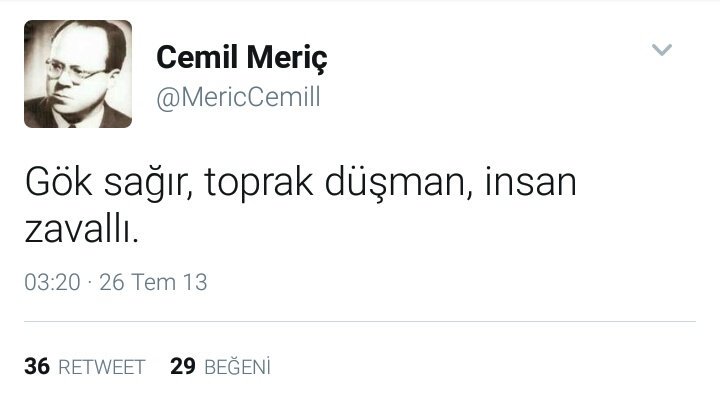 Ayşegül Kırım (@aysegul_krm) on Twitter photo 