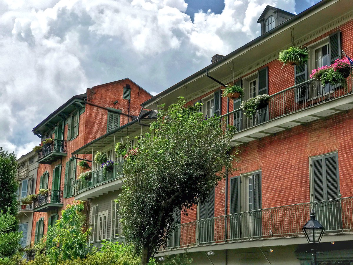 DavidMora's tweet photo. New Orleans is shining bright on this last day of May! 🌞🌳✨ #followyournola #juneissoon https://t.co/d4vgScxSA5
