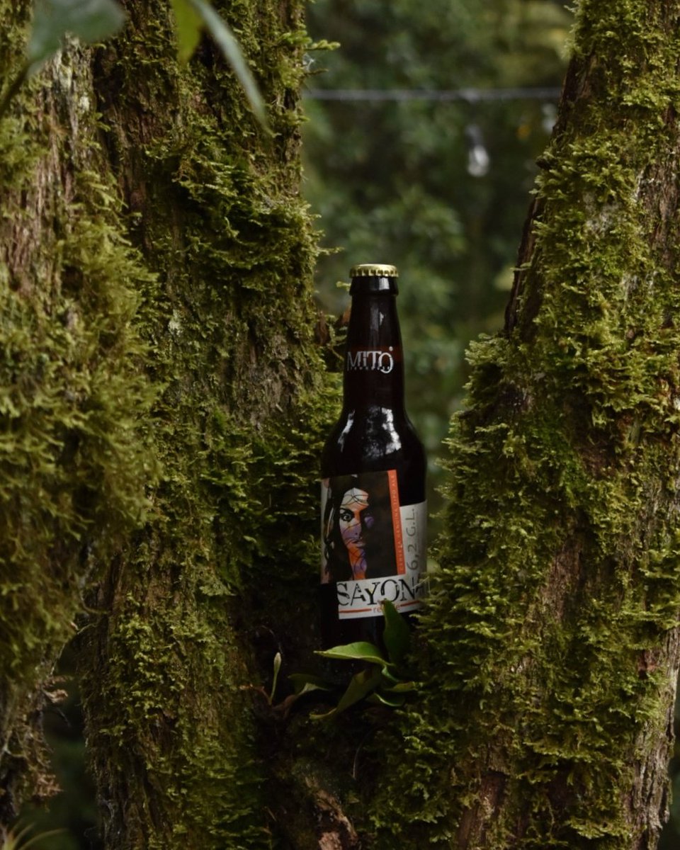 En sintonía con la naturaleza.