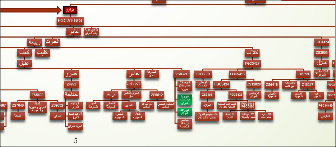 موقع نتيجةالبوجرادة صاحبة الموروث العُقيلي الشهيرالموثق طوال10قرون، بني خالد من عُقيل التان أصطفا أسفل التحورالعُقيلي ZS8321 وبجوارهم مرشحين