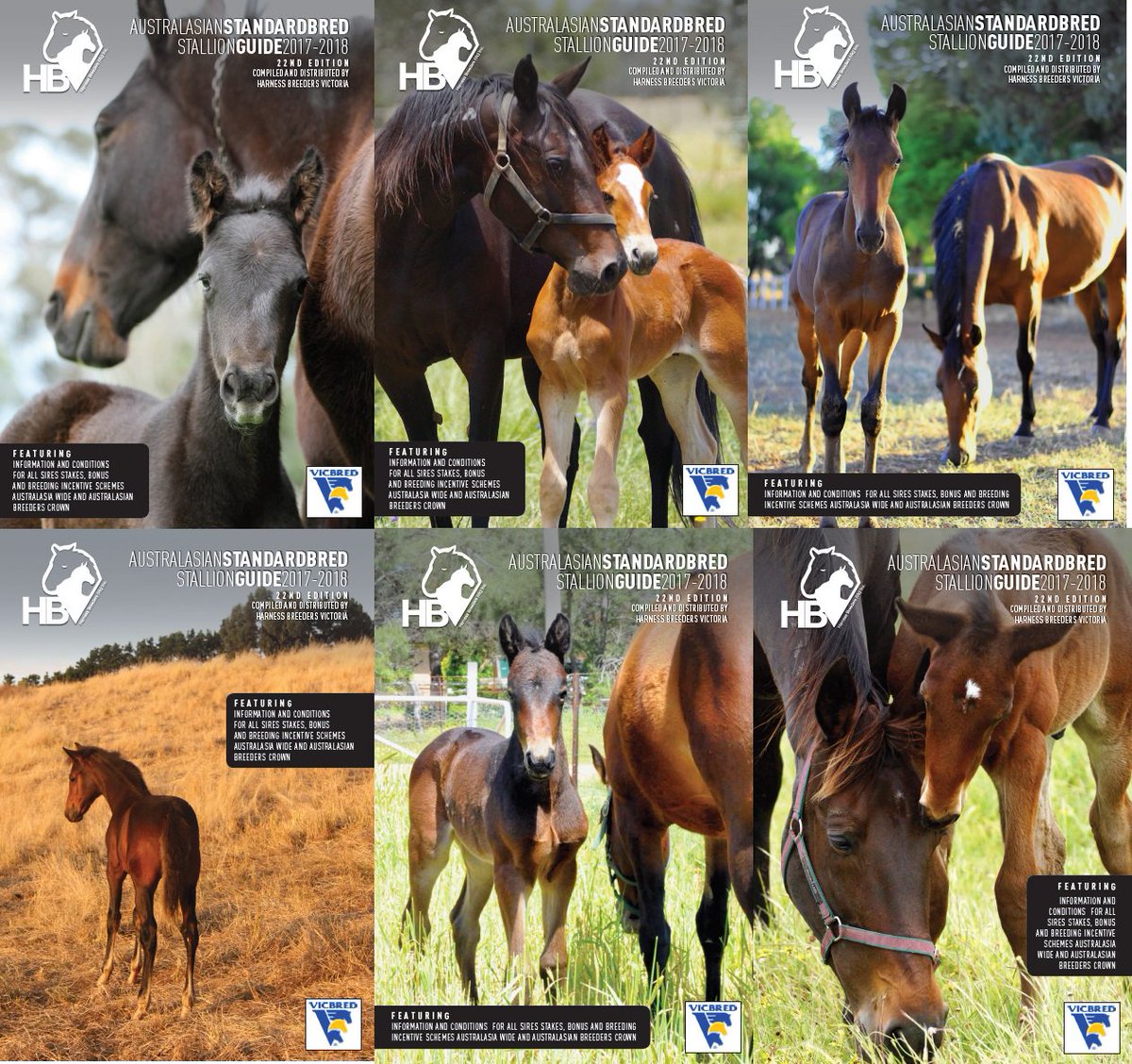 HarnessBreeders's tweet photo. Voting is now open to find our 2017 Stallion Guide cover star! https://t.co/gd4J6orpFX
@HRVnews @HRVHERO @courtsy22 @AustPacingGold https://t.co/K7dZXJwmiL