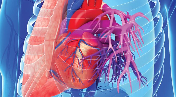 CleClinicMD's tweet photo. Vitamin cofactor CoQ10 shows potential benefit for pulmonary arterial hypertension patients https://t.co/y7fz7yx9qo https://t.co/4OtUxZfSZk