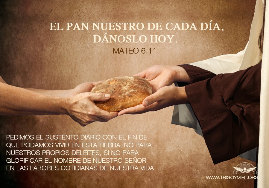 TrigoyMielLeon's tweet photo. "El pan nuestro de cada día, dánoslo hoy"
Mateo 6:11
#TrigoyMielLeón
#FelipeDelCastillo
#Ahíjole https://t.co/yA7aPQs16r