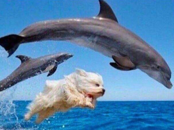 CauseWereGuys's tweet photo. When you're drunk af and start making friends with everyone. https://t.co/FEAGrUgIrE