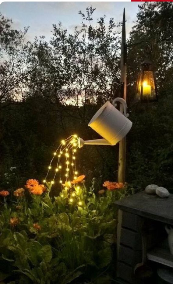 ROCAtoys's tweet photo. Some creative garden lightning 🌱💡🌱 #nightgarden #sumernights #gardenlights #gardening #gardentools #gardeningtools https://t.co/OJc2XmiUaT