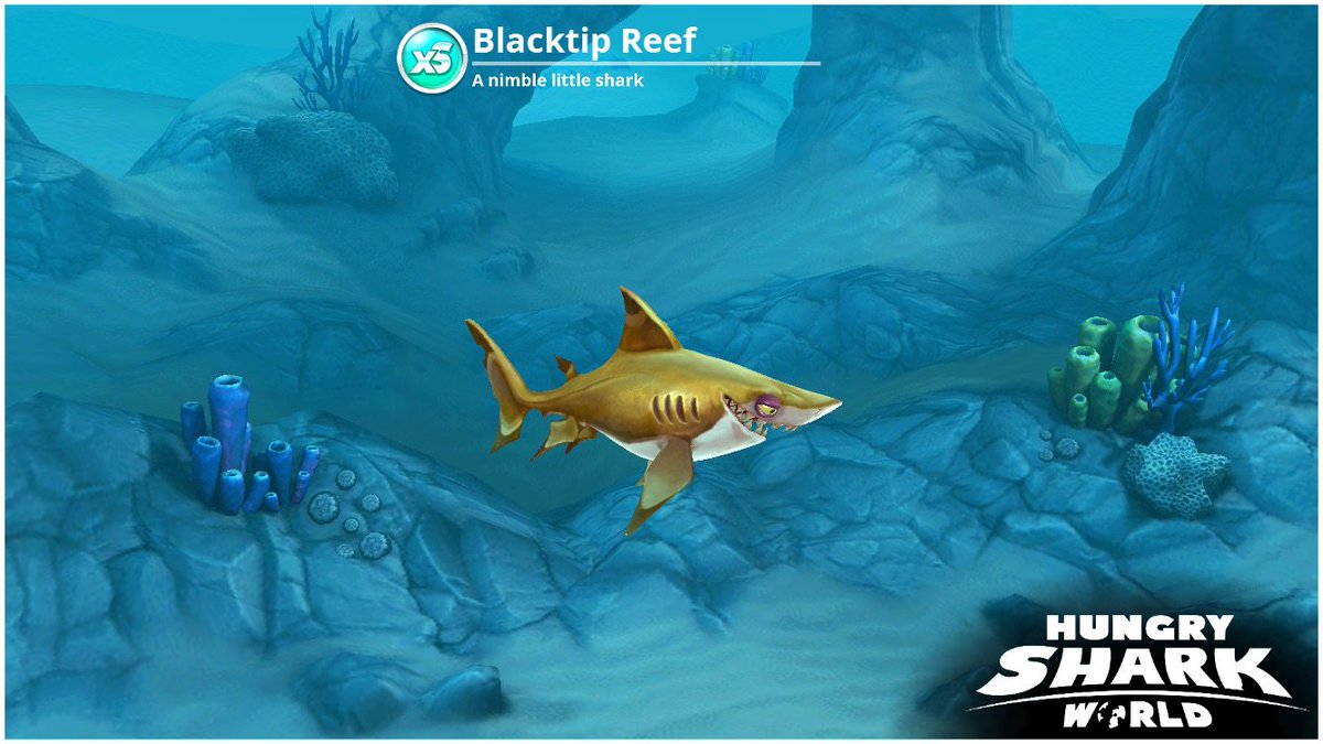 SAJG82's tweet photo. Check out my Blacktip Reef from Hungry SharkWorld! https://t.co/KvZlqFYsXb